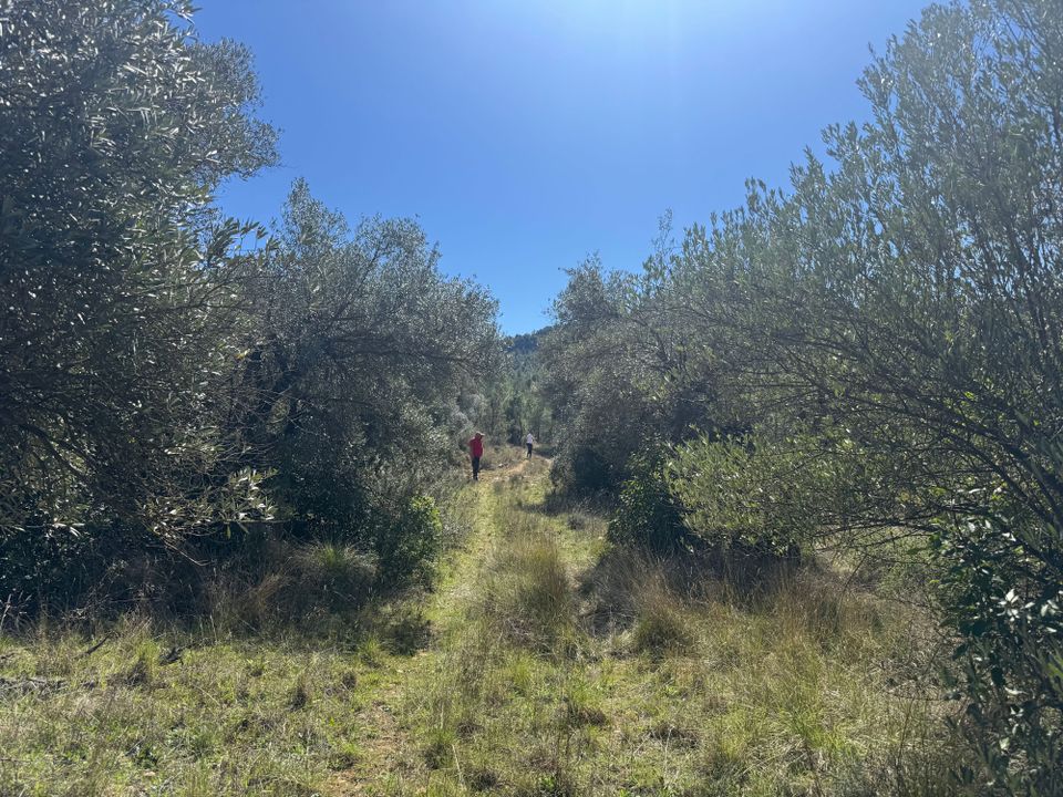 Villa i Arens De Lledo, Teruel - foto 4
